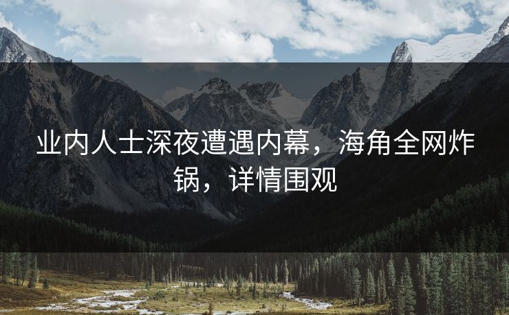 业内人士深夜遭遇内幕，海角全网炸锅，详情围观