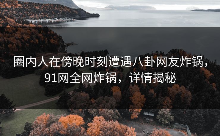 圈内人在傍晚时刻遭遇八卦网友炸锅，91网全网炸锅，详情揭秘