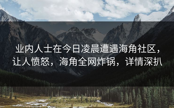 业内人士在今日凌晨遭遇海角社区，让人愤怒，海角全网炸锅，详情深扒