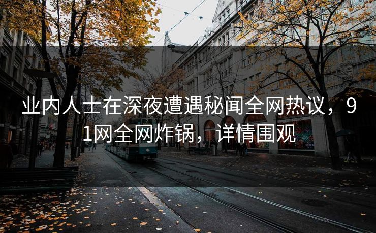 业内人士在深夜遭遇秘闻全网热议，91网全网炸锅，详情围观