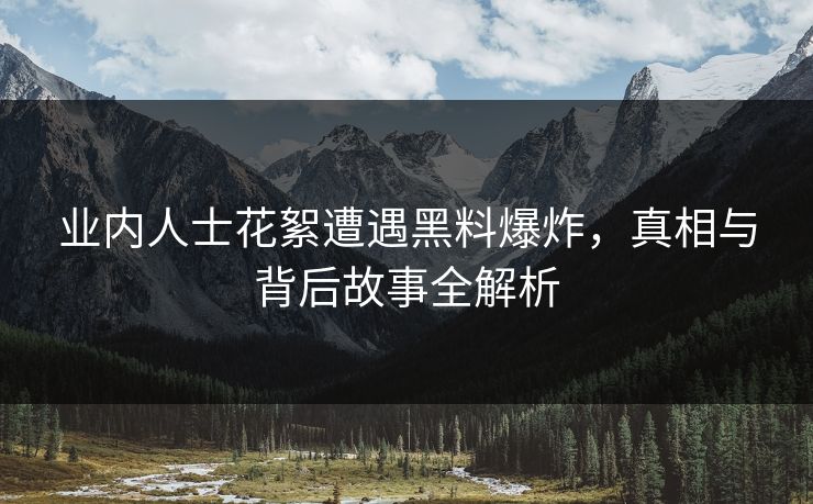 业内人士花絮遭遇黑料爆炸，真相与背后故事全解析
