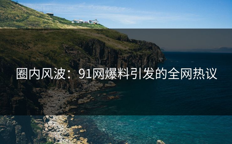 圈内风波：91网爆料引发的全网热议
