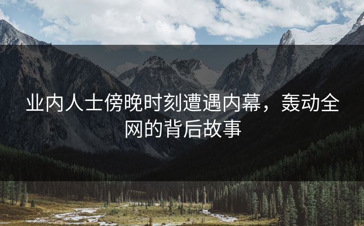 业内人士傍晚时刻遭遇内幕，轰动全网的背后故事