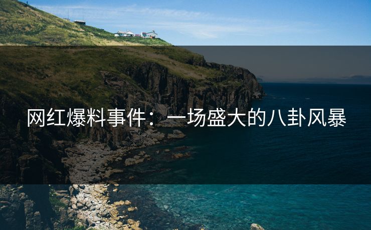 网红爆料事件:一场盛大的八卦风暴