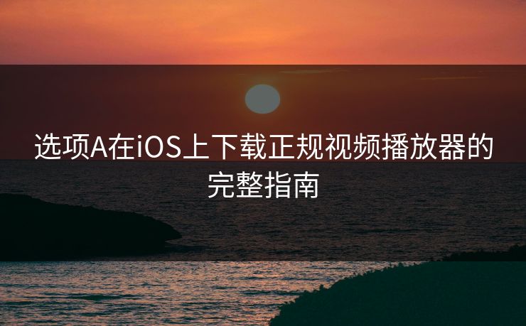 选项A在iOS上下载正规视频播放器的完整指南