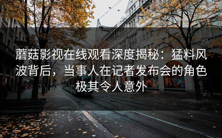 蘑菇影视在线观看深度揭秘:猛料风波背后,当事人在记者发布会的角色极其令人意外
