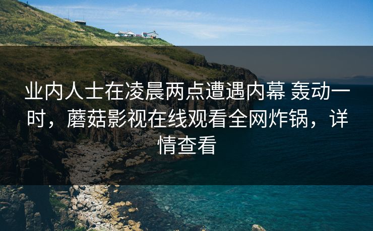 业内人士在凌晨两点遭遇内幕 轰动一时，蘑菇影视在线观看全网炸锅，详情查看