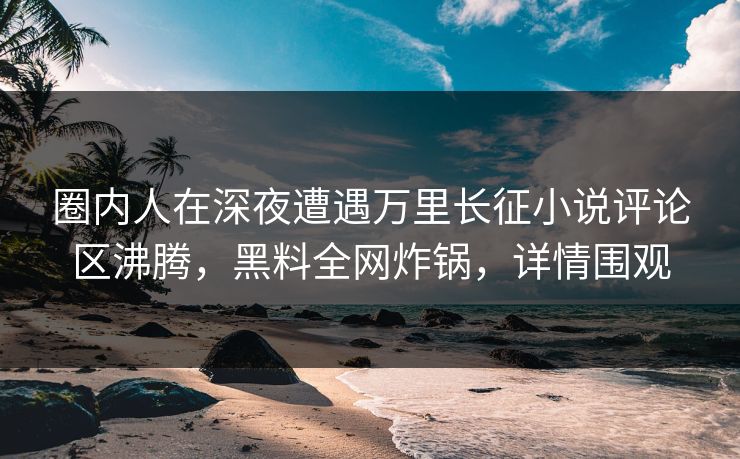 圈内人在深夜遭遇万里长征小说评论区沸腾，黑料全网炸锅，详情围观