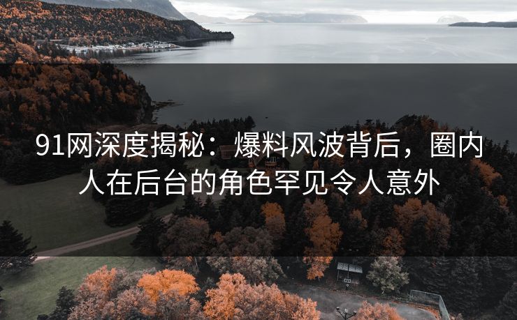 91网深度揭秘：爆料风波背后，圈内人在后台的角色罕见令人意外