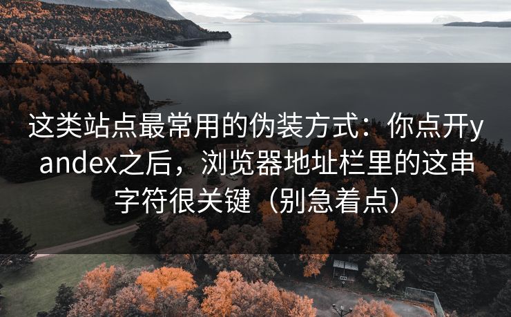 这类站点最常用的伪装方式：你点开yandex之后，浏览器地址栏里的这串字符很关键（别急着点）